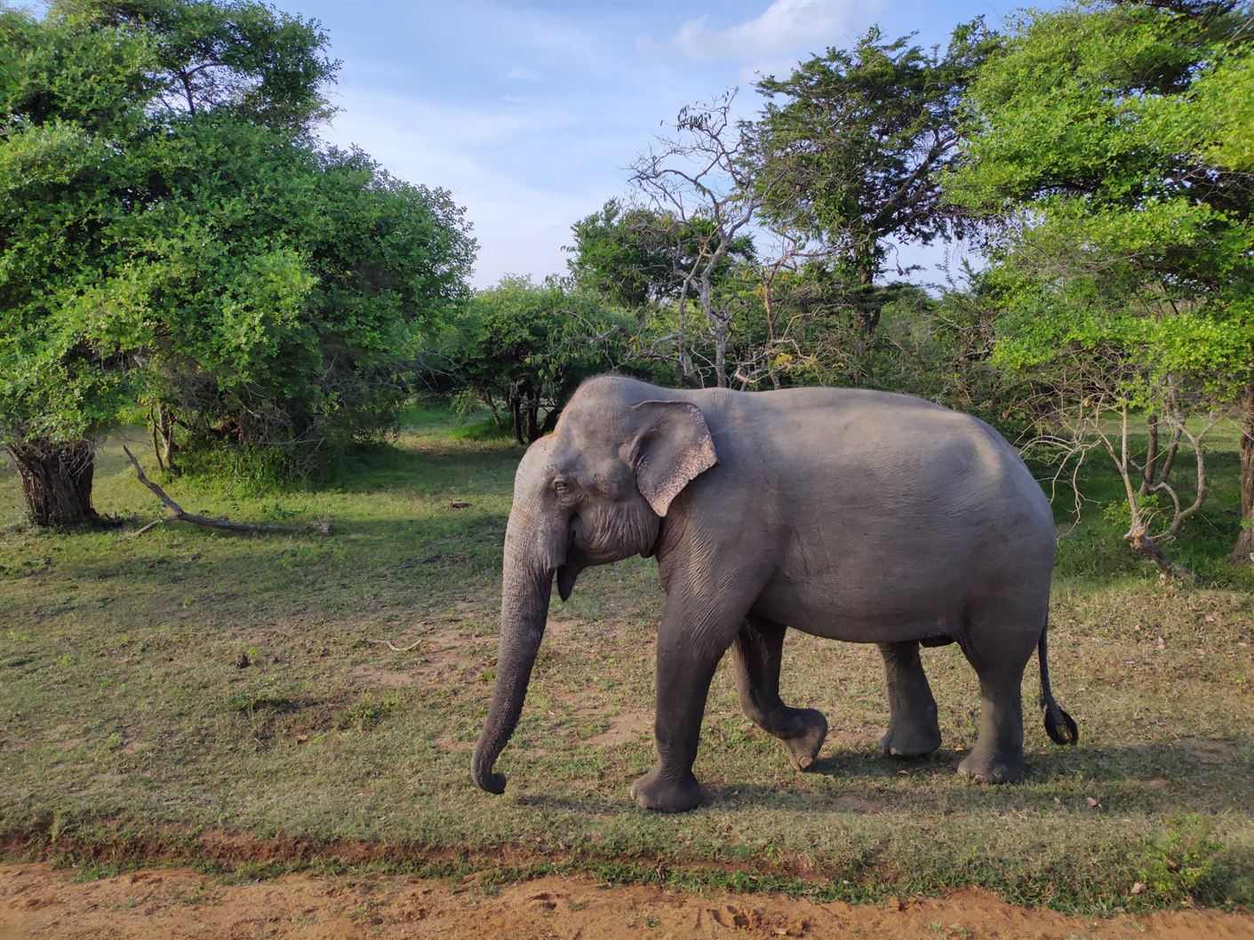 Cathedral Cove Kayaking