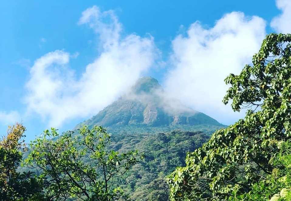 adam's-peak