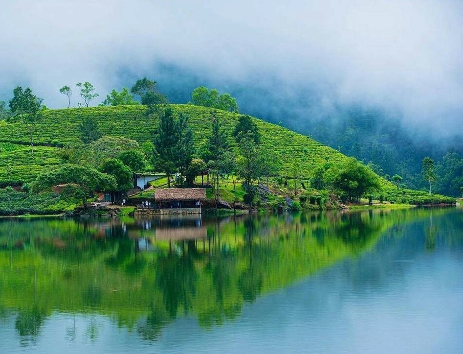 MATALE