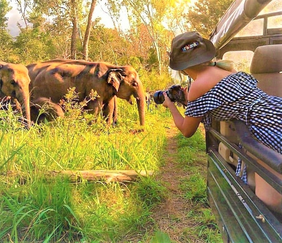Cathedral Cove Kayaking